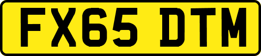 FX65DTM