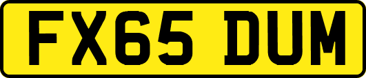 FX65DUM
