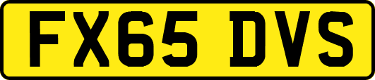 FX65DVS
