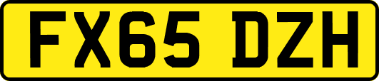 FX65DZH