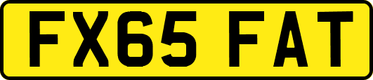 FX65FAT