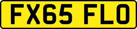 FX65FLO