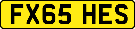 FX65HES