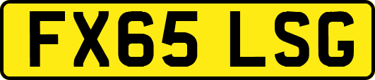 FX65LSG