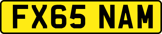 FX65NAM