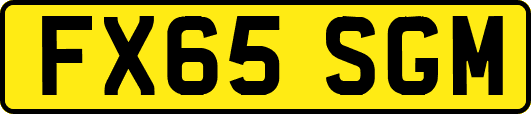 FX65SGM