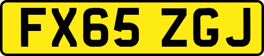 FX65ZGJ