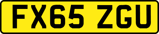 FX65ZGU