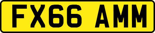 FX66AMM