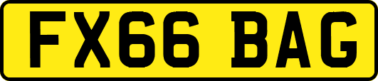 FX66BAG