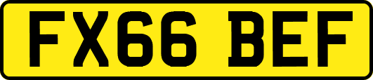 FX66BEF
