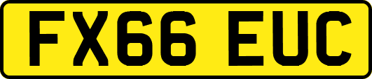 FX66EUC