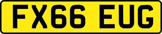 FX66EUG