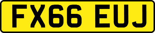 FX66EUJ
