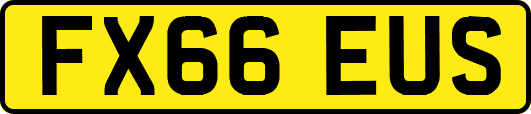 FX66EUS
