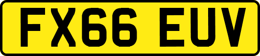 FX66EUV