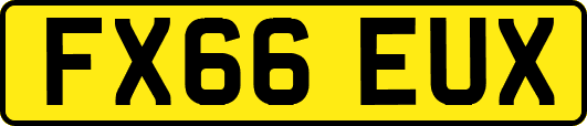FX66EUX