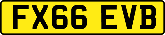 FX66EVB