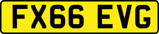 FX66EVG