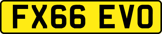 FX66EVO