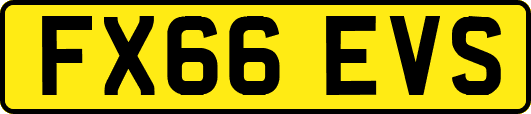 FX66EVS