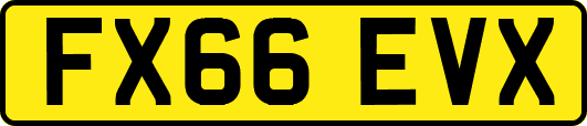 FX66EVX
