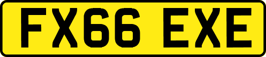 FX66EXE