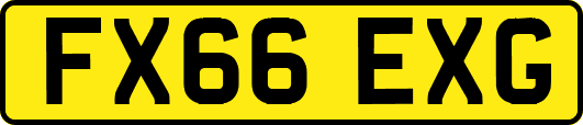 FX66EXG