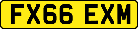 FX66EXM