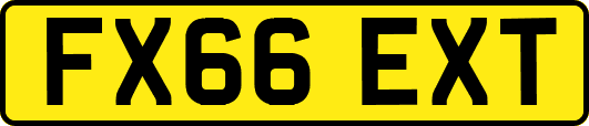 FX66EXT