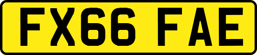 FX66FAE