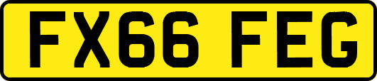 FX66FEG