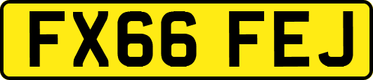 FX66FEJ
