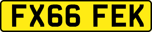 FX66FEK