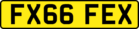 FX66FEX