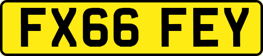 FX66FEY