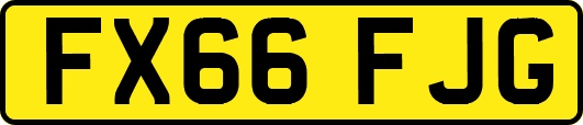 FX66FJG