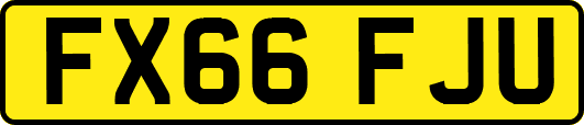 FX66FJU