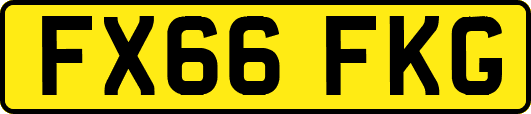 FX66FKG