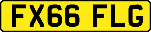 FX66FLG