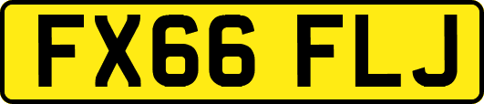 FX66FLJ