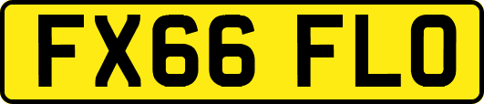 FX66FLO