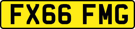 FX66FMG
