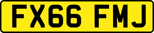 FX66FMJ
