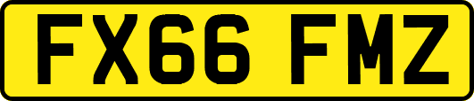 FX66FMZ