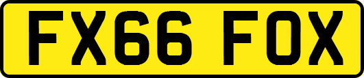 FX66FOX