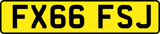 FX66FSJ