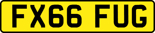 FX66FUG