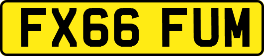 FX66FUM