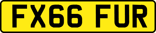 FX66FUR